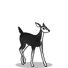 账号充值商城的{固定网站名称23}