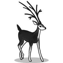 在线轰炸机网页版